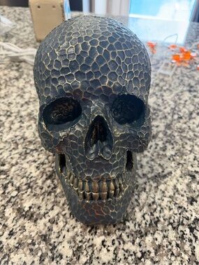 T.J.Maxx Black and Gold Textured Skull Accent